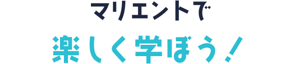 マリエントで楽しく学ぼう!